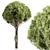 Evergreen Spruce Tree Set 3D model small image 1