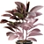 Modern Indoor Ficus Elastica Set 3D model small image 4