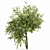 Exotic 3D Tree Models Set 3D model small image 5