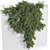  Verdant Botanical Collection 969 3D model small image 2