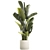 Exotic Tropical Plant Collection 3D model small image 5
