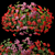 Pelargonium Hanging Plant Model 3D model small image 7