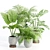 Indoor Plants Collection Vol. 221 3D model small image 1