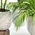Indoor Plants Collection Vol. 221 3D model small image 3