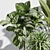 66 Indoor Plant Set 3D 3D model small image 2