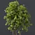 HQ Ash Maple Tree Models 3D model small image 2