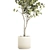 Ginkgo Biloba Decor Tree in Concrete Pot 3D model small image 4