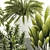 Tropical Plant Set in White Pots 3D model small image 6