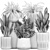 Tropical Plant Set in White Pots 3D model small image 7