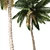 Tropical Palm Tree 3D Model 3D model small image 2