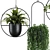 Modern Hanging Plant SetV1 3D model small image 2