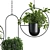 Modern Hanging Plant SetV1 3D model small image 3