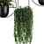 Modern Hanging Plant SetV1 3D model small image 4