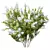 White Flowering Myrtle Tree Models 3D model small image 2