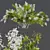 White Flowering Myrtle Tree Models 3D model small image 3