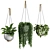 Modern Hanging Plant SetV3 3D model small image 1