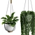 Modern Hanging Plant SetV3 3D model small image 3
