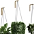 Modern Hanging Plant SetV3 3D model small image 4