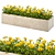 Vibrant Outdoor Marigold Flower Plant 3D model small image 1