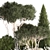 Alpine Topiary Tree Set 3D model small image 4