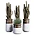 Quality Indoor Plant Set 37 3D model small image 1