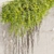 High-Quality Ivy Plant Model 3D model small image 2
