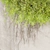 High-Quality Ivy Plant Model 3D model small image 3
