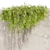 High-Quality Ivy Plant Model 3D model small image 4