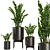 Indoor Plant Set V32-Zamiifolia 3D model small image 1
