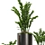 Indoor Plant Set V32-Zamiifolia 3D model small image 3