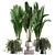 Modern Indoor Plant Set 3D 3D model small image 1