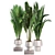 Modern Indoor Plant Set 3D 3D model small image 2