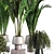 Modern Indoor Plant Set 3D 3D model small image 3