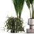 Modern Indoor Plant Set 3D 3D model small image 4