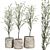 Vintage Olive Indoor Plant Set 3D model small image 5