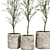 Vintage Olive Indoor Plant Set 3D model small image 1