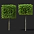 Forest Beech Tree Topiary Set 3D model small image 3