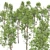 Forest Tree 3D Models Bundle 3D model small image 6