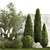 Urban Oasis Collection: Ornamental Trees & Grasses 3D model small image 4