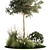 Tropical Trees Collection with Grasses 3D model small image 3