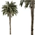 Royal Palm Trio Set 221 3D model small image 1