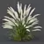 Mexican Feathergrass 3D Plant Models 3D model small image 3