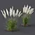 Mexican Feathergrass 3D Plant Models 3D model small image 4