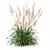 Mexican Feather Grass 3D Models 3D model small image 2