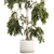 White Flowerpot Weeping Willow 3D model small image 2