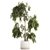 White Flowerpot Weeping Willow 3D model small image 6