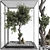 Indoor Bonsai Tree and Rocks 3D model small image 1