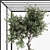 Indoor Bonsai Tree and Rocks 3D model small image 2