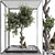 Indoor Bonsai Tree and Rocks 3D model small image 3