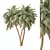 Tropical Palm Tree 3D Model 3D model small image 1